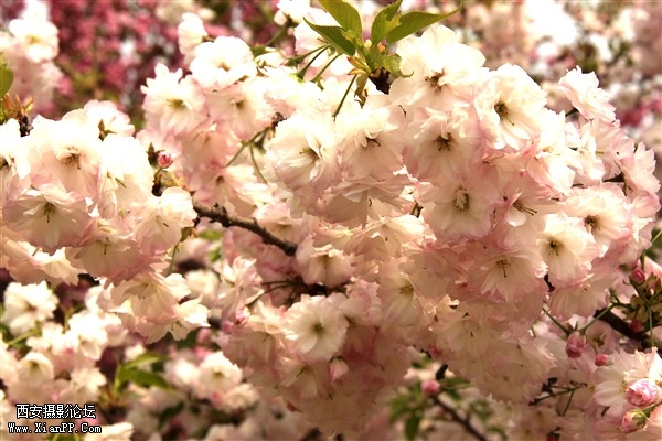 IMG_3169_副本.jpg