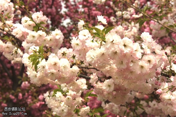 IMG_3171_副本.jpg