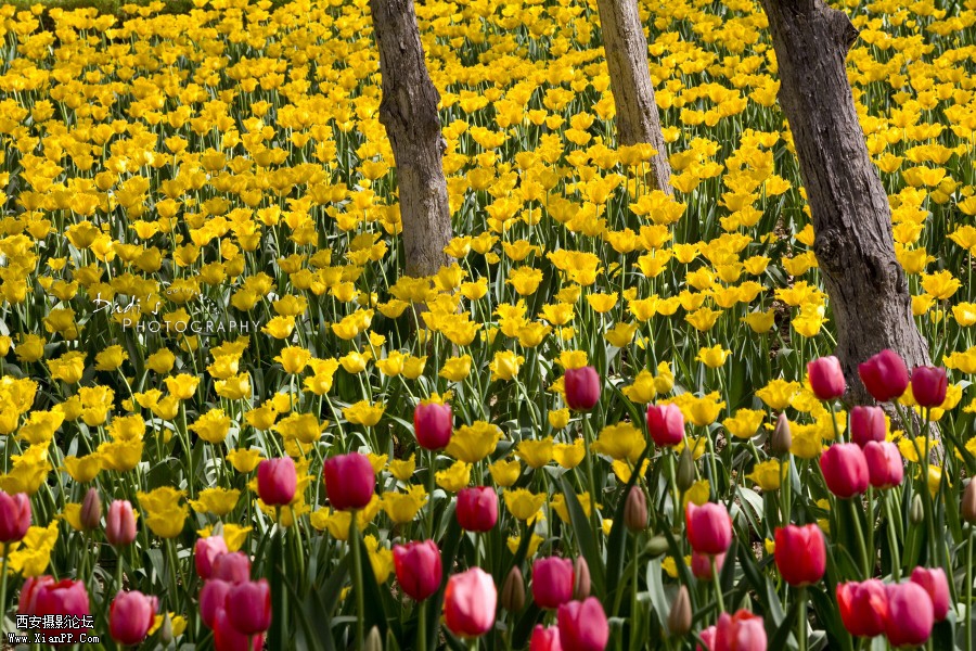 IMG_0841r (900x600).jpg