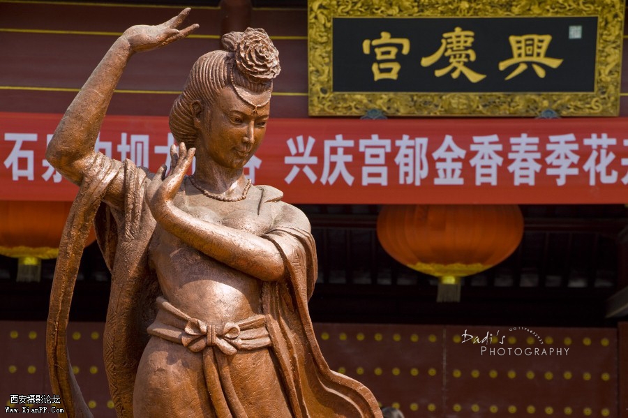 IMG_1177rp (900x599).jpg