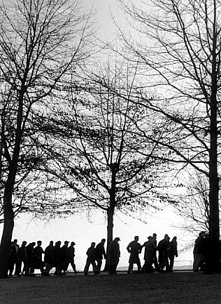 NYC19463.jpg