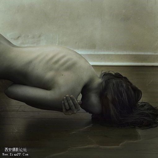 p_large_JN3z_77a700018eb95c15.jpg