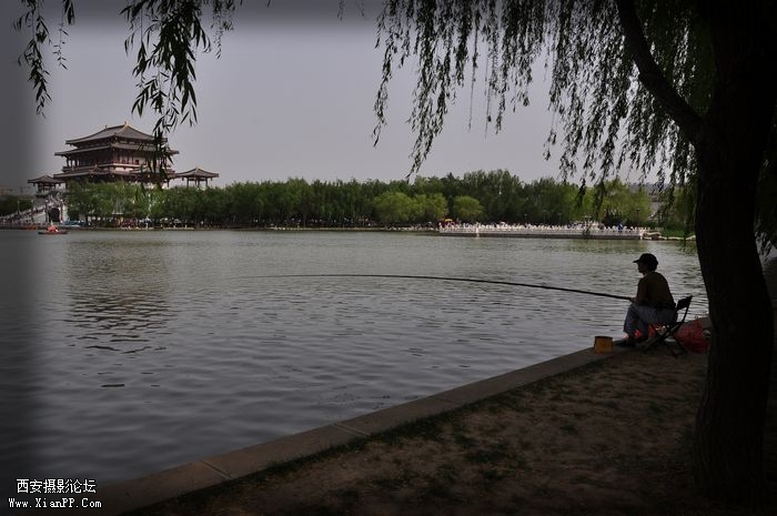 DSC_035885.jpg