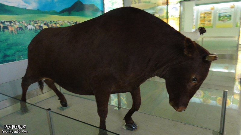 DSC00416_副本.jpg