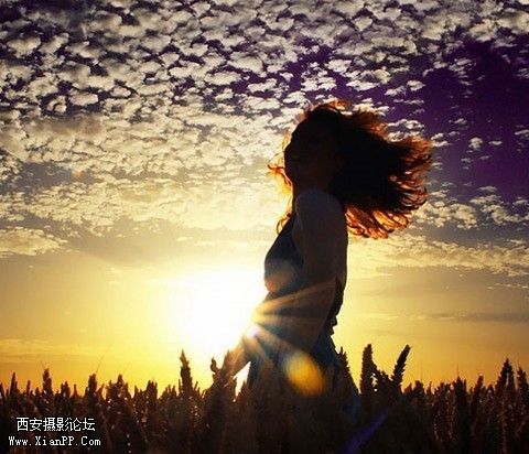 p_large_LT6x_561d000811565c44.jpg