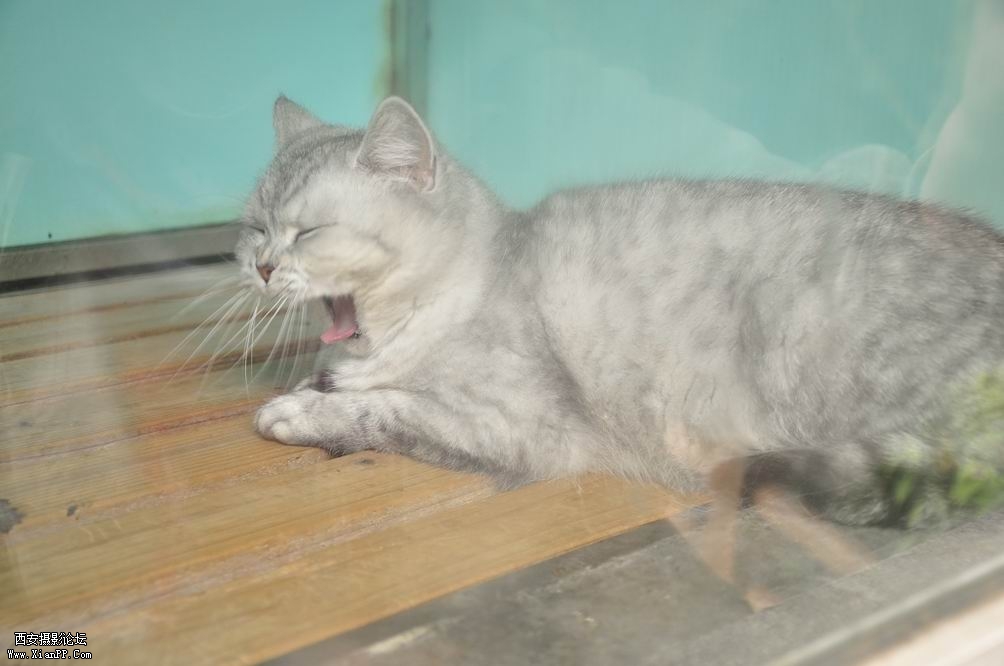 调整大小 _DSC0299.JPG