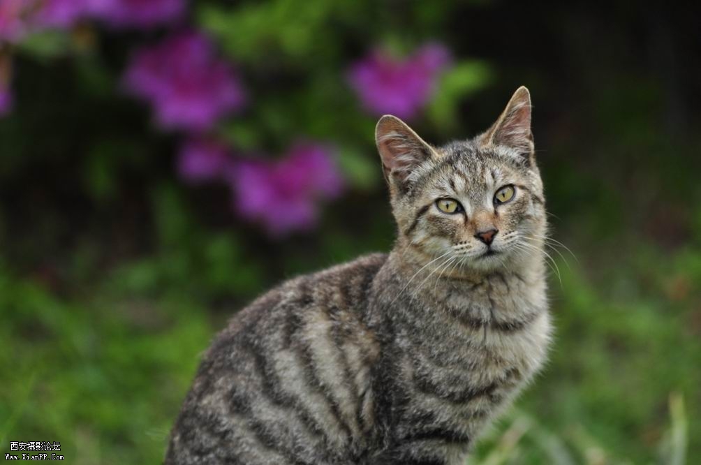 调整大小 _DSC0506.JPG