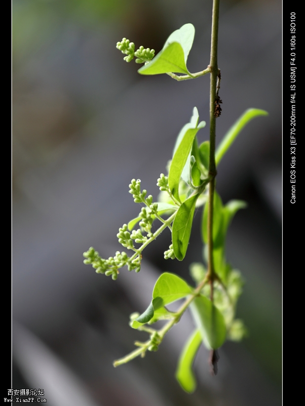 20110510历史博物馆1253_副本.jpg