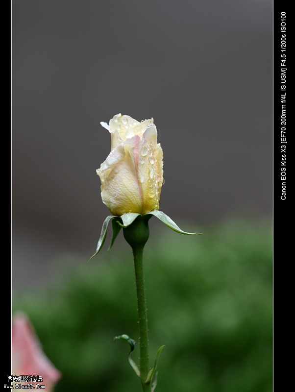 20110510历史博物馆1261.jpg