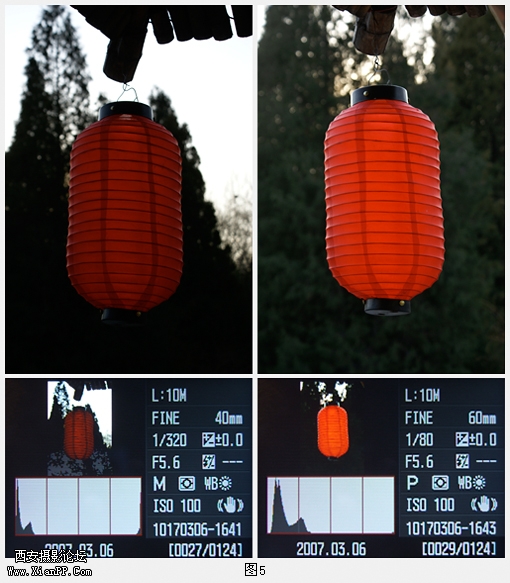 p5.jpg
