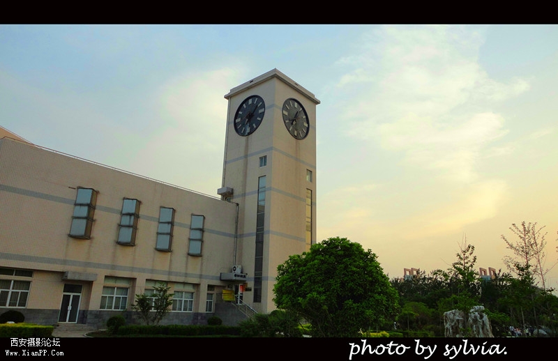 DSC07154.jpg