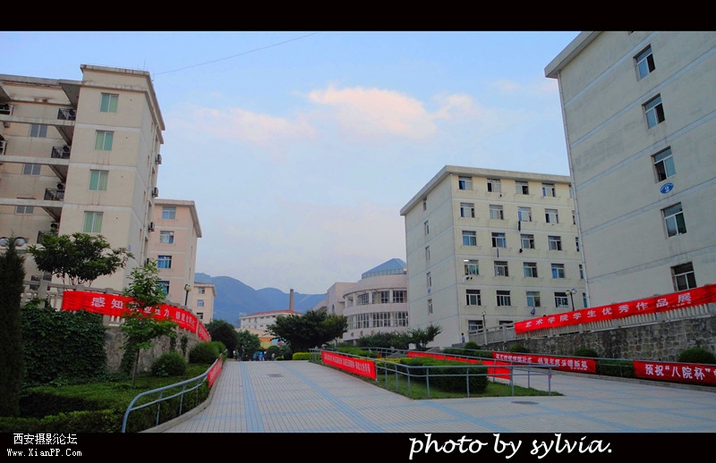 DSC07231_副本.jpg