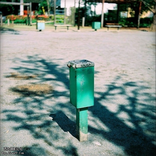 p_large_8akL_439d0000627d5c73.jpg
