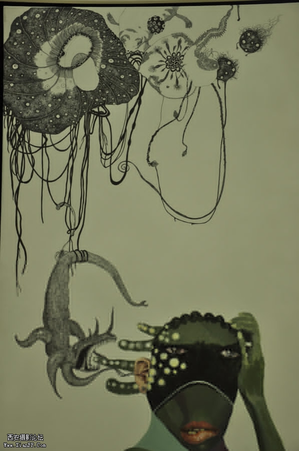 p_large_7y2O_11ee0000043d5c72.jpg
