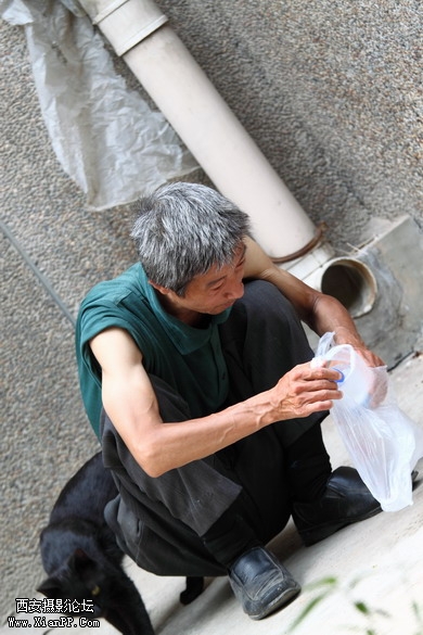 20110528一个人和一群猫1484_调整大小.JPG