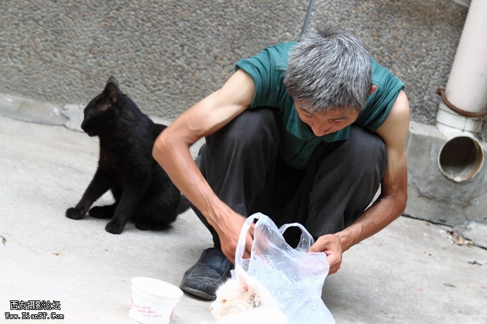 20110528一个人和一群猫1486_调整大小.JPG