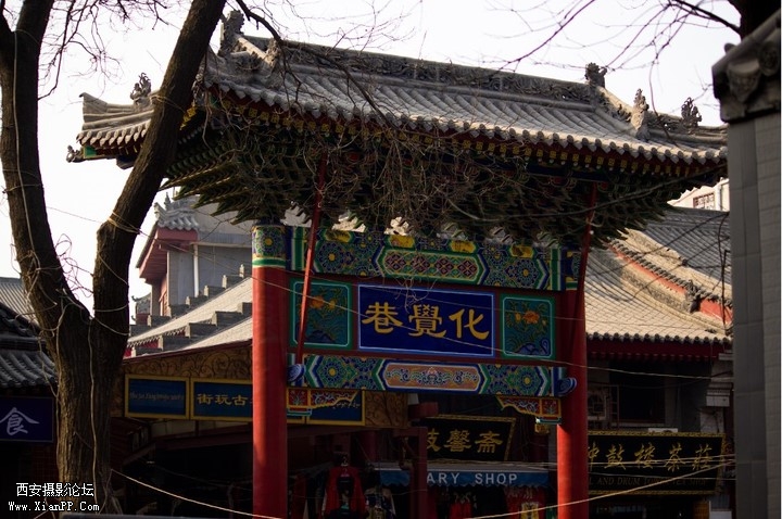 p_large_IXMl_17aa000ad27b5c44.jpg