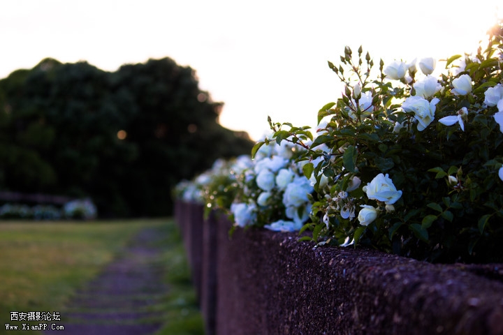 p_large_y8o6_7c140008b1155c43.jpg