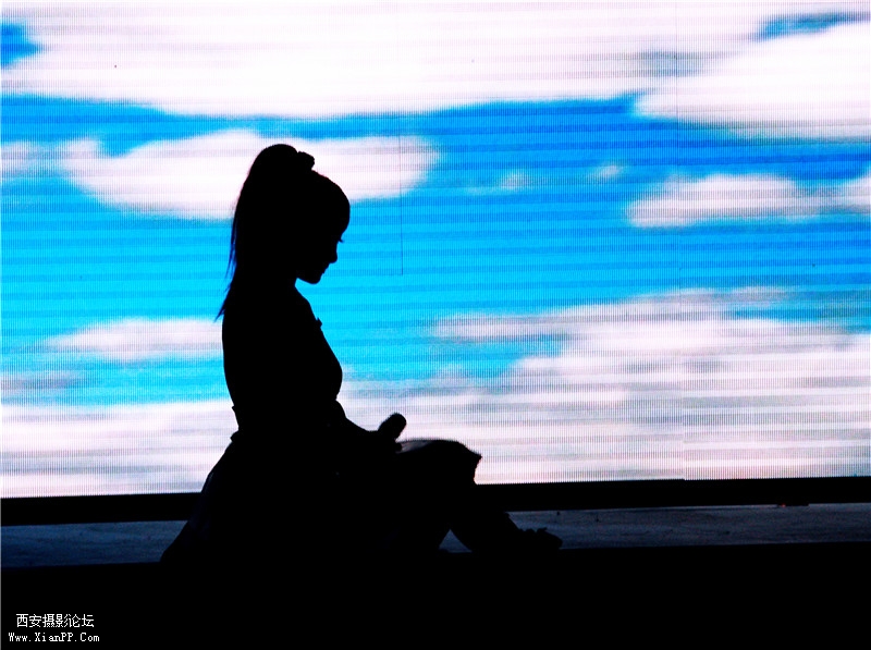 照片 498_副本_副本.jpg