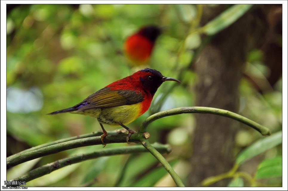 调整大小 DSC_0077.jpg