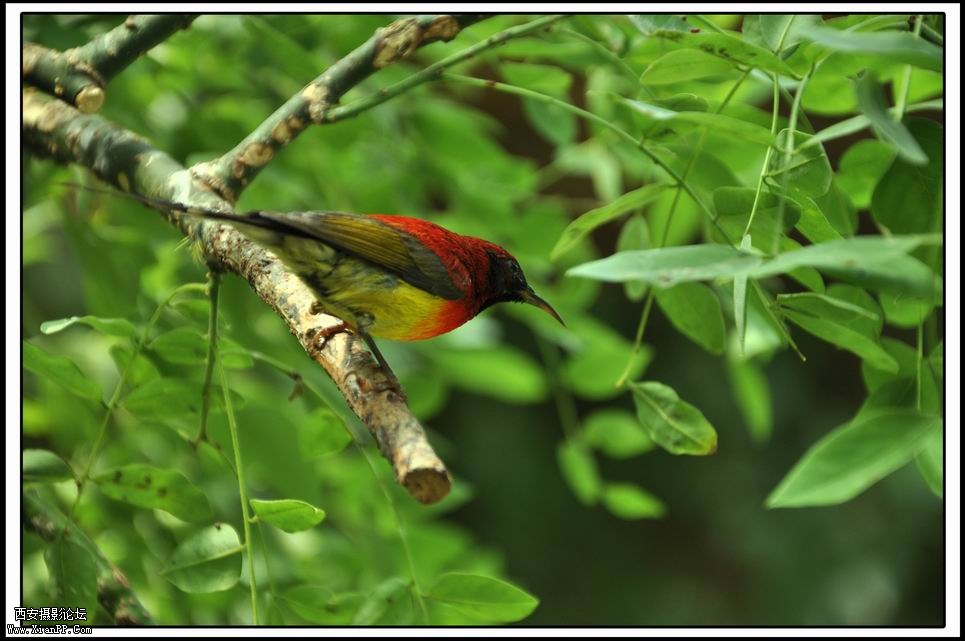 调整大小 DSC_0082.jpg