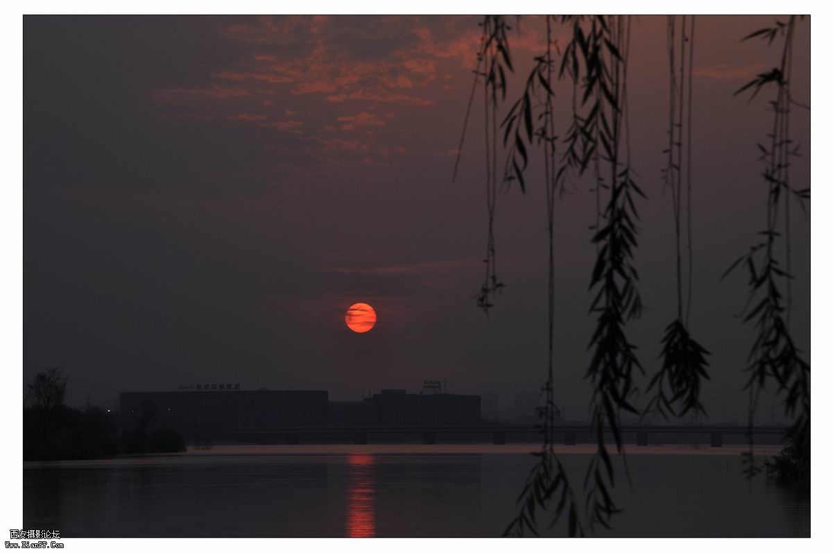 调整大小 DSC_0443.jpg