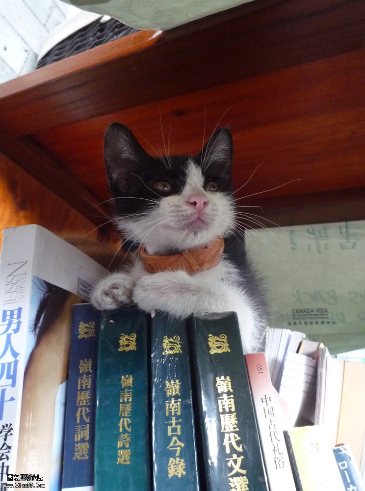 旋转 nEO_IMG_P1110953s.jpg