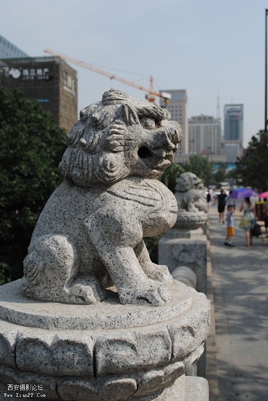DSC_ghg008_副本.jpg