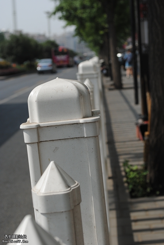 DSC_008_副本.jpg