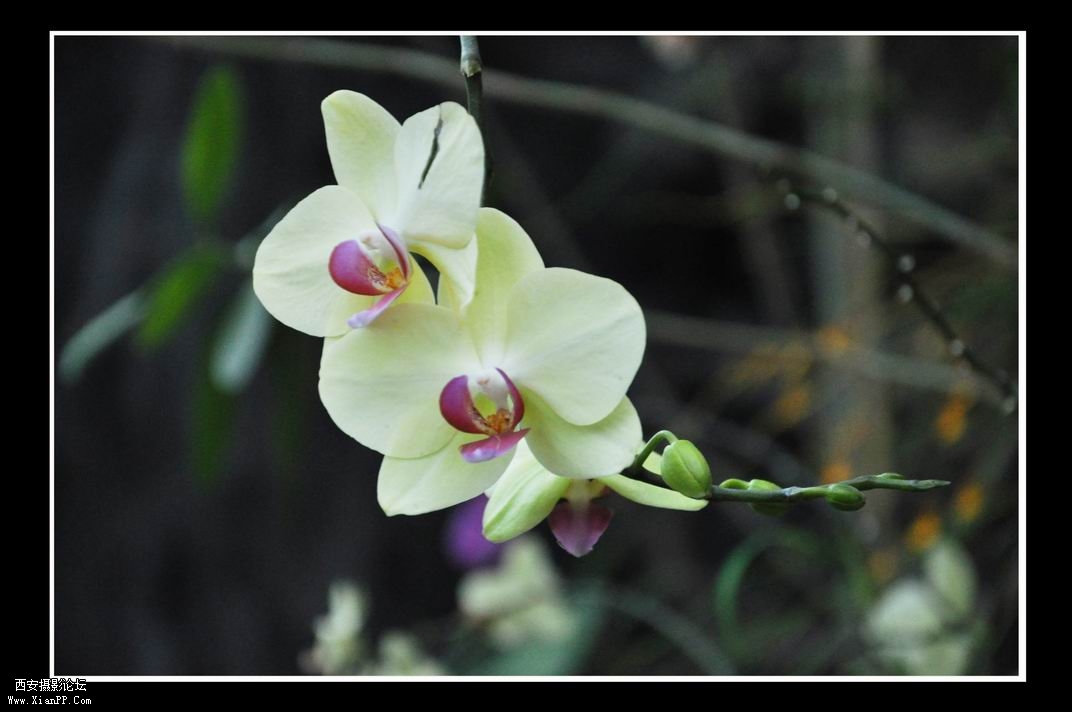 调整大小 DSC_0252.jpg