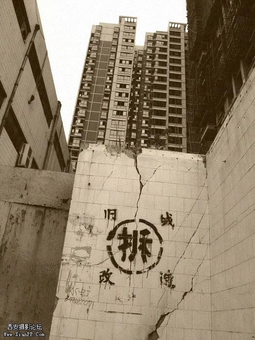 DSC_0251_副本.jpg