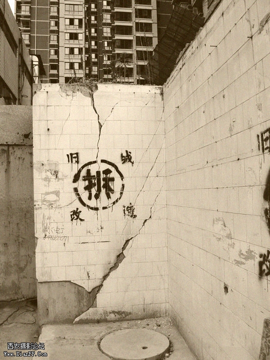 DSC_0250_副本.jpg