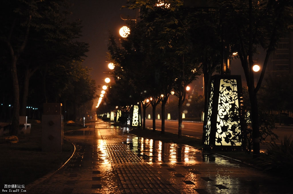 DSC_0016.JPG