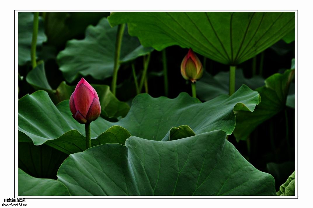 调整大小 DSC_3122副本22.jpg