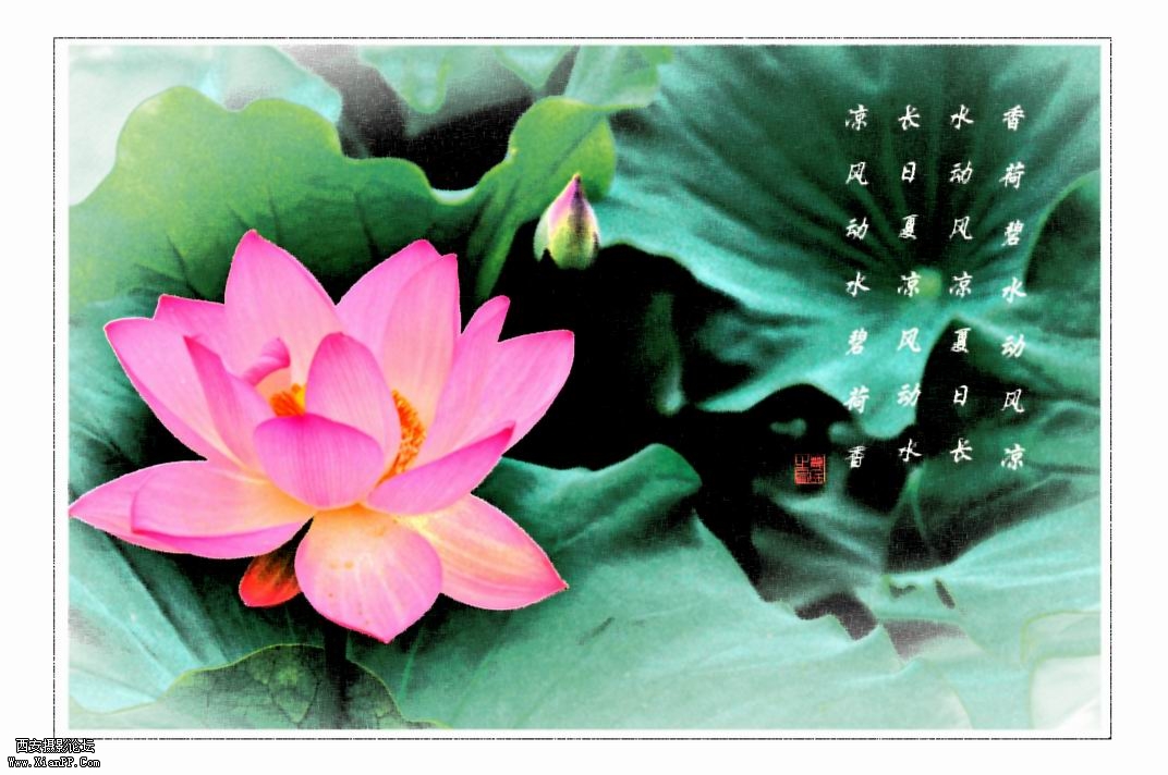 调整大小 DSC_3122.jpg