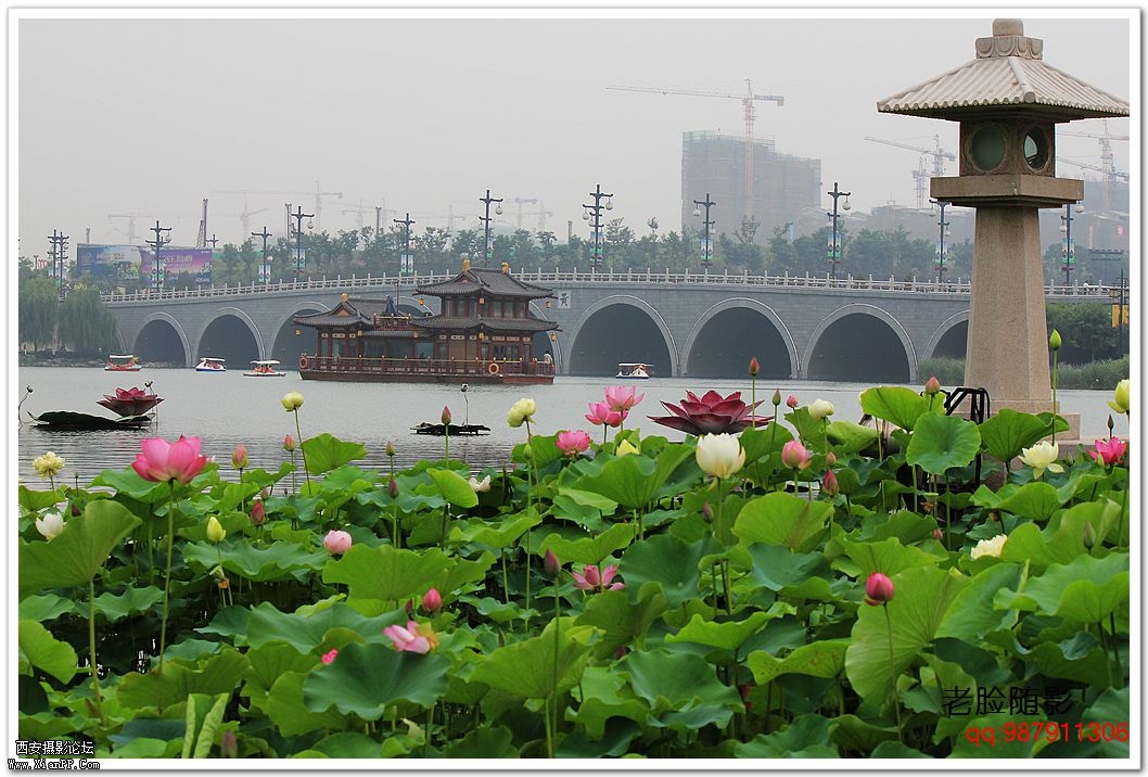 nEO_IMG_车展---车模---南湖荷花 345.jpg