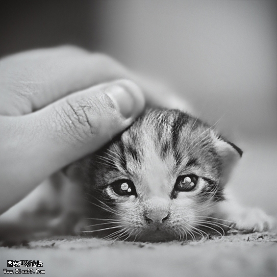 Photo by FikreesProjects