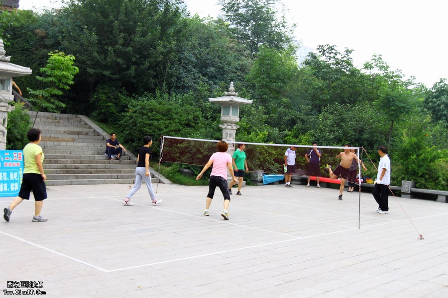 20110622 荷花2553_调整大小.JPG