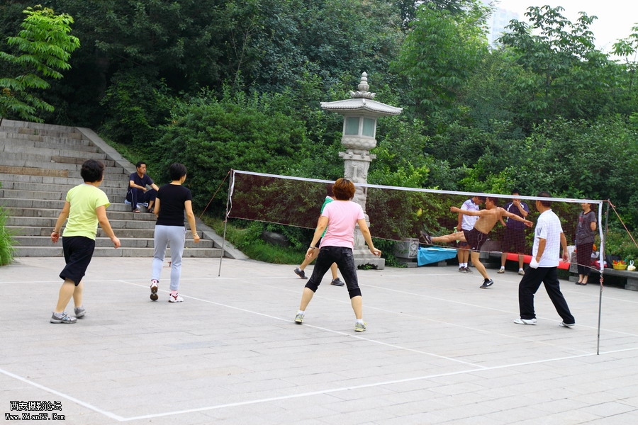 20110622 荷花2554_调整大小.JPG