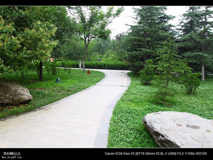 20110622 荷花2559_调整大小.JPG