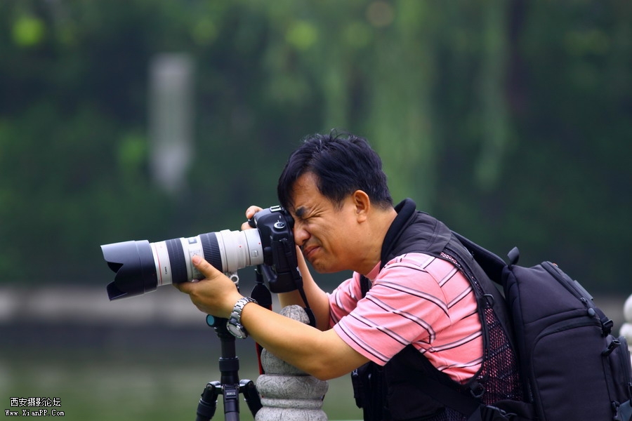 20110622 荷花2526_调整大小.JPG