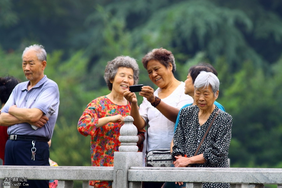 20110622 荷花2527_调整大小.JPG