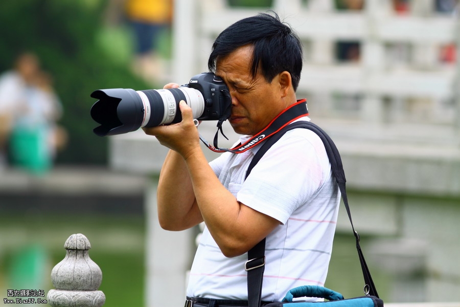 20110622 荷花2532_调整大小.JPG