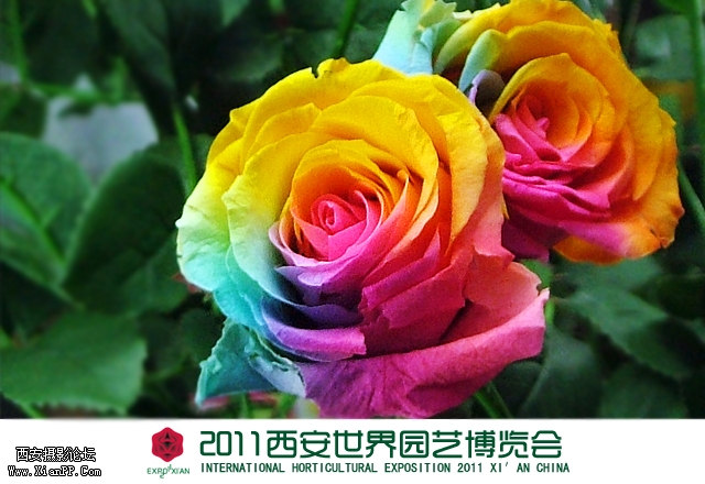 创意馆.jpg