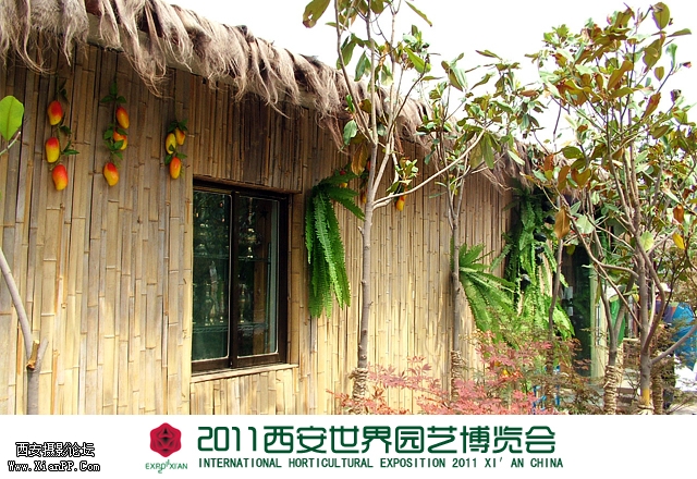 菲律宾园.jpg