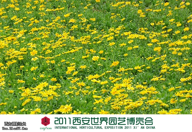 世园会19.jpg