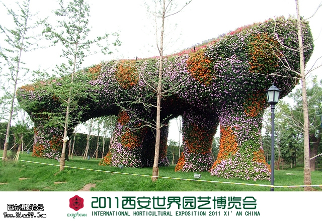 植物雕塑.jpg