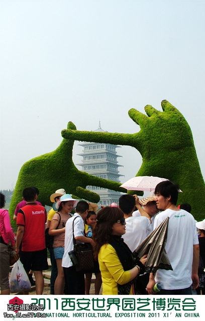 植物雕塑-聚焦长安2.jpg