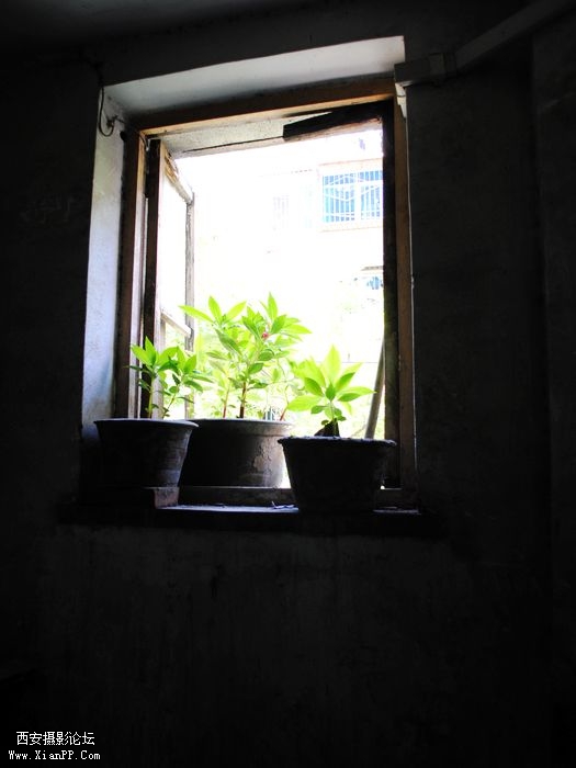 DSC_0008.jpg