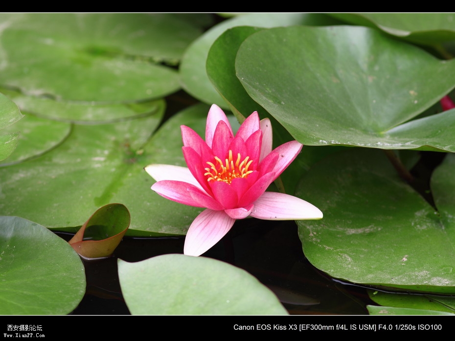 20110626  浐灞码头2636_调整大小.JPG